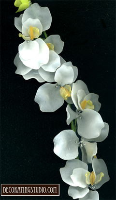white acrylic orchid stem